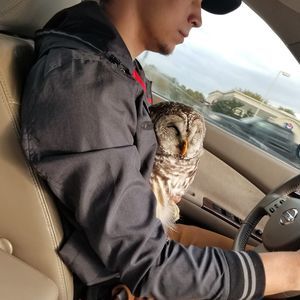 Meet your Posher, Tre